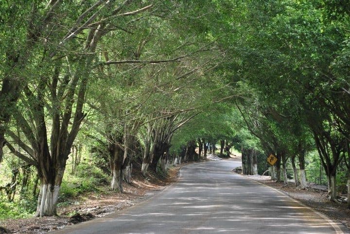 Cómo llegar a Axtla de Terrazas: rutas en coche, autobús y avión